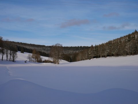 Winter-2019-Unterhoefenhof-Ferienwohnungen-Titisee-Schwarzwald