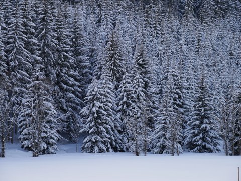 Winter-2019-Unterhoefenhof-Ferienwohnungen-Titisee-Schwarzwald