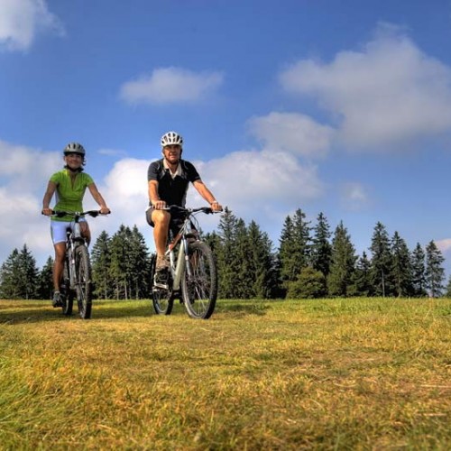 Paradies für Mountainbiker (Bild: Hochschwarzwald Tourismus Gmbh)