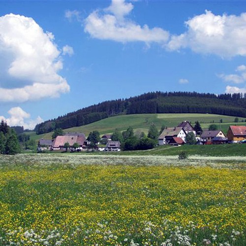 Natur erleben - Unterhöfenhof - Ferienwohnungen Schwarzwald Titisee Jostal