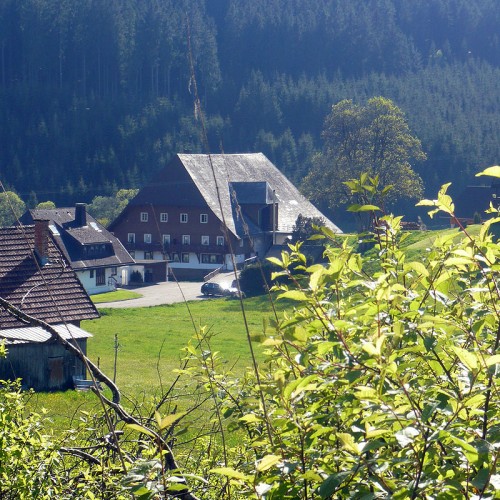 Blick auf den Unterhöfenhof - Ferienwohnungen Schwarzwald Titisee Jostal