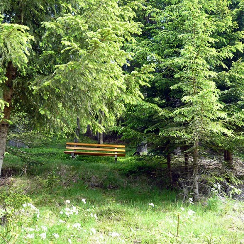 Natur erleben - Unterhöfenhof - Ferienwohnungen Schwarzwald Titisee Jostal