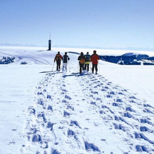 Schneeschuhwandern auf dem Feldberg (Bild: Hochschwarzwald Tourismus Gmbh)