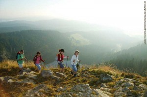 Panoramablick (Bild: Hochschwarzwald Tourismus Gmbh)