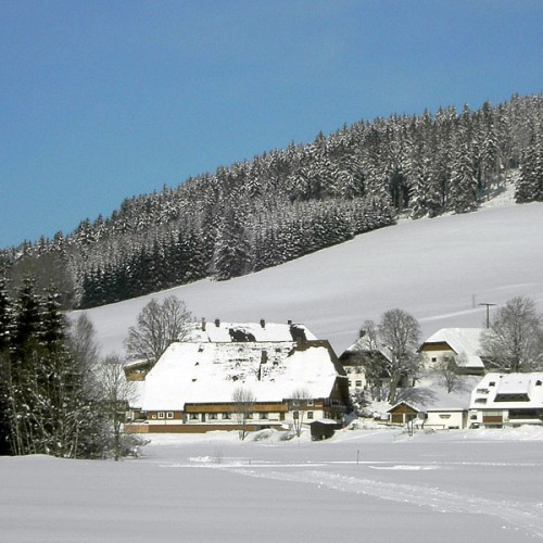 Der Unterhöfenhof - Ferienwohnungen Schwarzwald Titisee Jostal